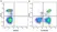Anti Human CD2 Antibody, clone LT2 thumbnail image 13