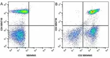 Anti Human CD2 Antibody, clone LT2 gallery image 16