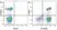 Anti Human CD2 Antibody, clone LT2 thumbnail image 17