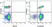 Anti Human CD2 Antibody, clone LT2 thumbnail image 18