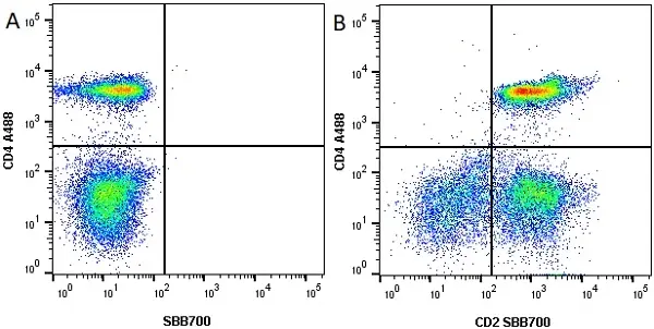 Anti Human CD2 Antibody, clone LT2 gallery image 2