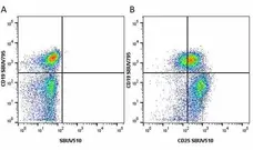 Anti Human CD2 Antibody, clone LT2 gallery image 21