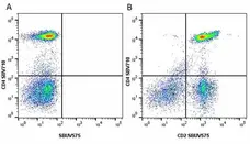 Anti Human CD2 Antibody, clone LT2 gallery image 22