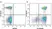 Anti Human CD2 Antibody, clone LT2 thumbnail image 23
