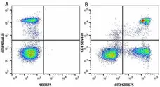 Anti Human CD2 Antibody, clone LT2 gallery image 25