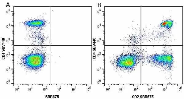 Anti Human CD2 Antibody, clone LT2 gallery image 25