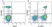 Anti Human CD2 Antibody, clone LT2 thumbnail image 27