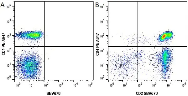 Anti Human CD2 Antibody, clone LT2 gallery image 3