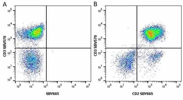 Anti Human CD2 Antibody, clone LT2 gallery image 31