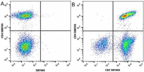Anti Human CD2 Antibody, clone LT2 gallery image 32