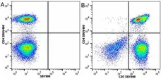 Anti Human CD2 Antibody, clone LT2 gallery image 35