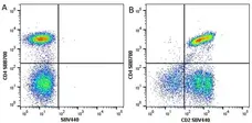 Anti Human CD2 Antibody, clone LT2 gallery image 4