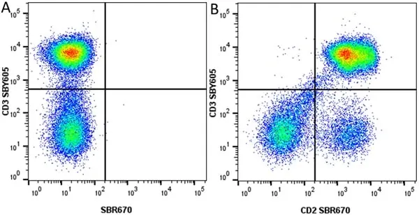 Anti Human CD2 Antibody, clone LT2 gallery image 41
