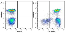 Anti Human CD2 Antibody, clone LT2 gallery image 6