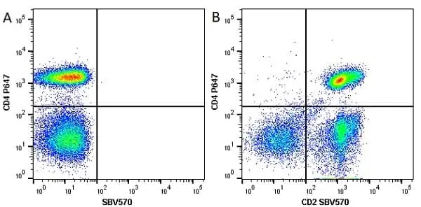 Anti Human CD2 Antibody, clone LT2 gallery image 7