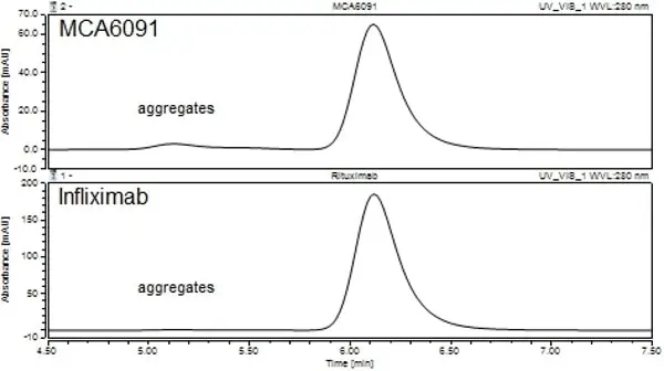 Anti CD20 (Rituximab Biosimilar) Antibody, clone 10F381 gallery image 2
