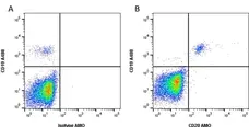 Anti Human CD20 Antibody, clone 2H7 gallery image 1