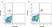 Anti Human CD20 Antibody, clone 2H7 thumbnail image 1