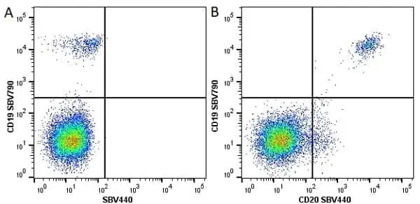 Anti Human CD20 Antibody, clone 2H7 gallery image 10
