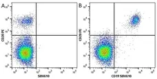 Anti Human CD20 Antibody, clone 2H7 gallery image 11