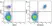 Anti Human CD20 Antibody, clone 2H7 thumbnail image 11