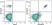 Anti Human CD20 Antibody, clone 2H7 thumbnail image 14