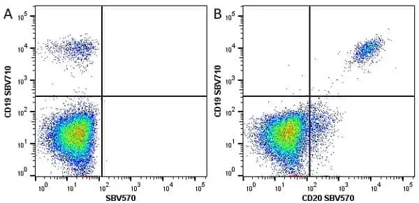 Anti Human CD20 Antibody, clone 2H7 gallery image 14