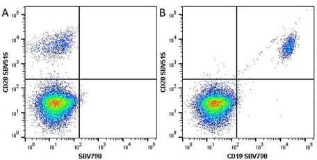 Anti Human CD20 Antibody, clone 2H7 | Bio-Rad