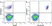 Anti Human CD20 Antibody, clone 2H7 thumbnail image 16