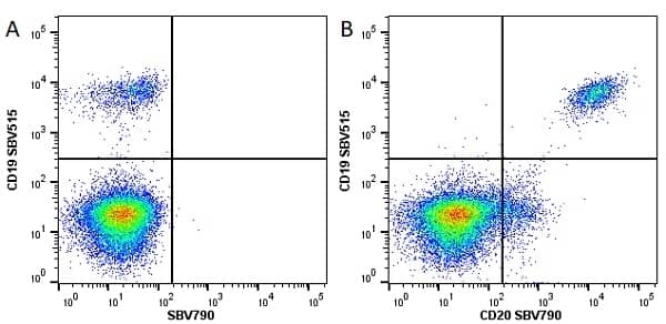 Anti Human CD20 Antibody, clone 2H7 thumbnail image 17