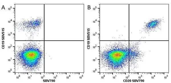 Anti Human CD20 Antibody, clone 2H7 gallery image 17