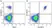 Anti Human CD20 Antibody, clone 2H7 thumbnail image 19
