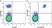 Anti Human CD20 Antibody, clone 2H7 thumbnail image 21