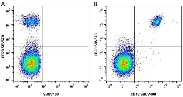 Anti Human CD20 Antibody, clone 2H7 gallery image 21