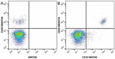 Anti Human CD20 Antibody, clone 2H7 gallery image 22