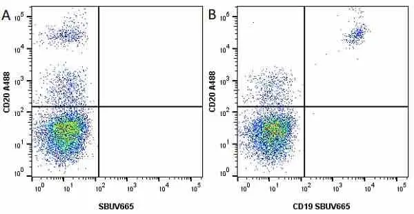 Anti Human CD20 Antibody, clone 2H7 gallery image 24