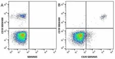 Anti Human CD20 Antibody, clone 2H7 gallery image 25