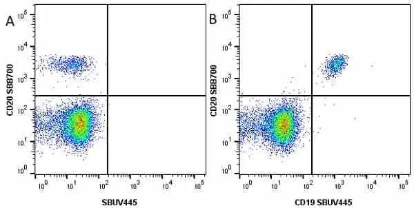 Anti Human CD20 Antibody, clone 2H7 gallery image 27