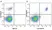 Anti Human CD20 Antibody, clone 2H7 thumbnail image 28