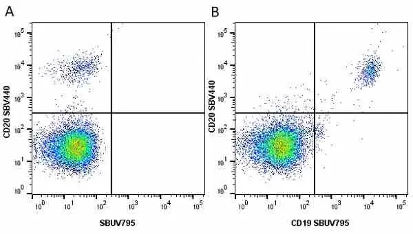 Anti Human CD20 Antibody, clone 2H7 gallery image 28