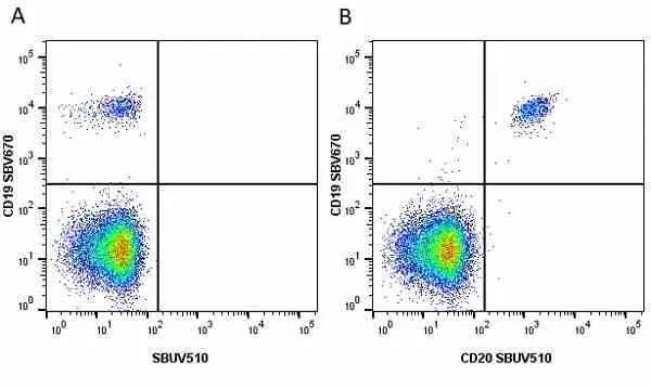 Anti Human CD20 Antibody, clone 2H7 gallery image 31