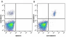 Anti Human CD20 Antibody, clone 2H7 gallery image 32
