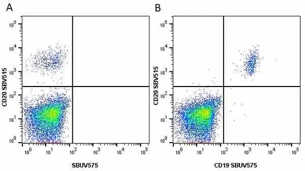 Anti Human CD20 Antibody, clone 2H7 gallery image 32