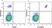 Anti Human CD20 Antibody, clone 2H7 thumbnail image 36