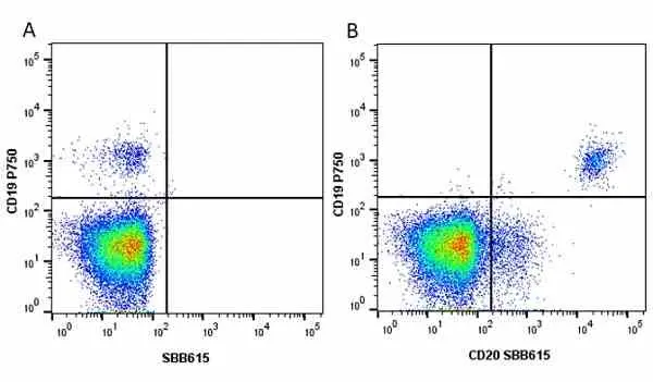 Anti Human CD20 Antibody, clone 2H7 gallery image 37