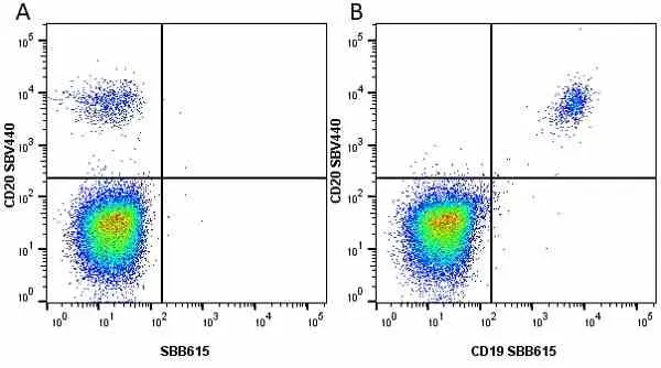 Anti Human CD20 Antibody, clone 2H7 gallery image 38