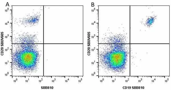 Anti Human CD20 Antibody, clone 2H7 gallery image 44
