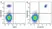 Anti Human CD20 Antibody, clone 2H7 thumbnail image 45