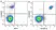 Anti Human CD20 Antibody, clone 2H7 thumbnail image 48