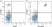 Anti Human CD20 Antibody, clone 2H7 thumbnail image 5
